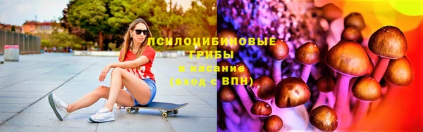 марки lsd Белокуриха