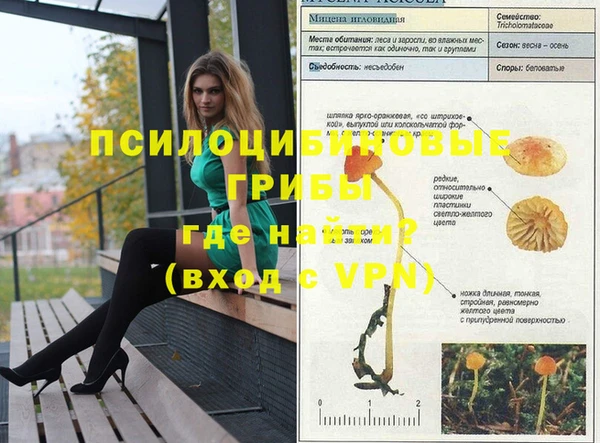 винт Струнино